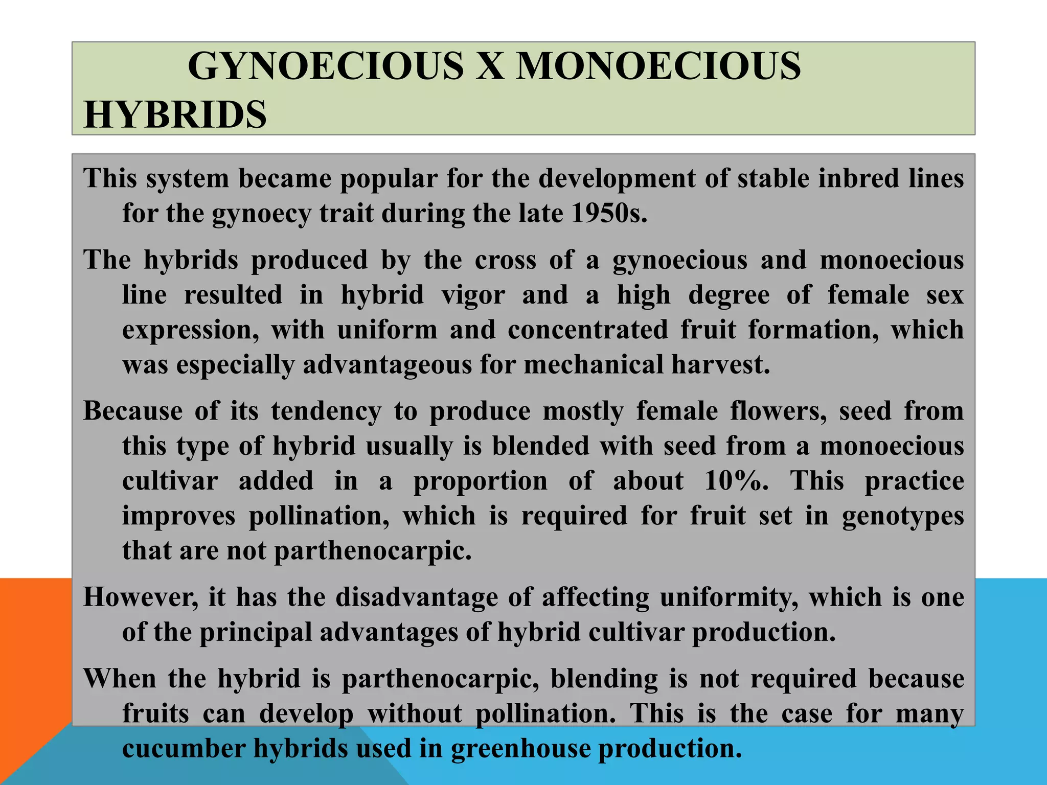 GYNOECIOUS X MONOECIOUS
HYBRIDS
This system became popular for the development of stable inbred lines
for the gynoecy trait during the late 1950s.
The hybrids produced by the cross of a gynoecious and monoecious
line resulted in hybrid vigor and a high degree of female sex
expression, with uniform and concentrated fruit formation, which
was especially advantageous for mechanical harvest.
Because of its tendency to produce mostly female flowers, seed from
this type of hybrid usually is blended with seed from a monoecious
cultivar added in a proportion of about 10%. This practice
improves pollination, which is required for fruit set in genotypes
that are not parthenocarpic.
However, it has the disadvantage of affecting uniformity, which is one
of the principal advantages of hybrid cultivar production.
When the hybrid is parthenocarpic, blending is not required because
fruits can develop without pollination. This is the case for many
cucumber hybrids used in greenhouse production.
 