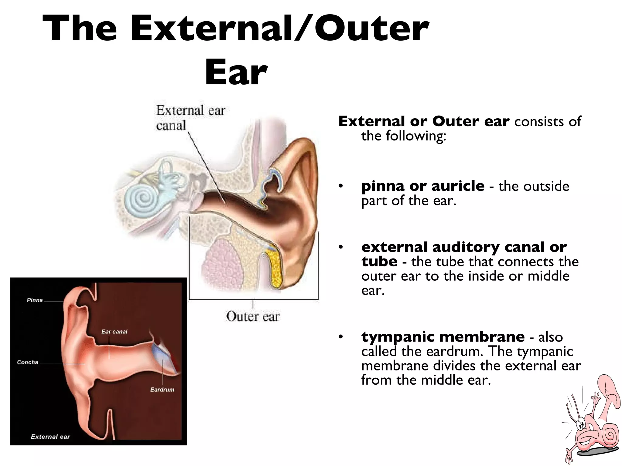 Problems of the ear