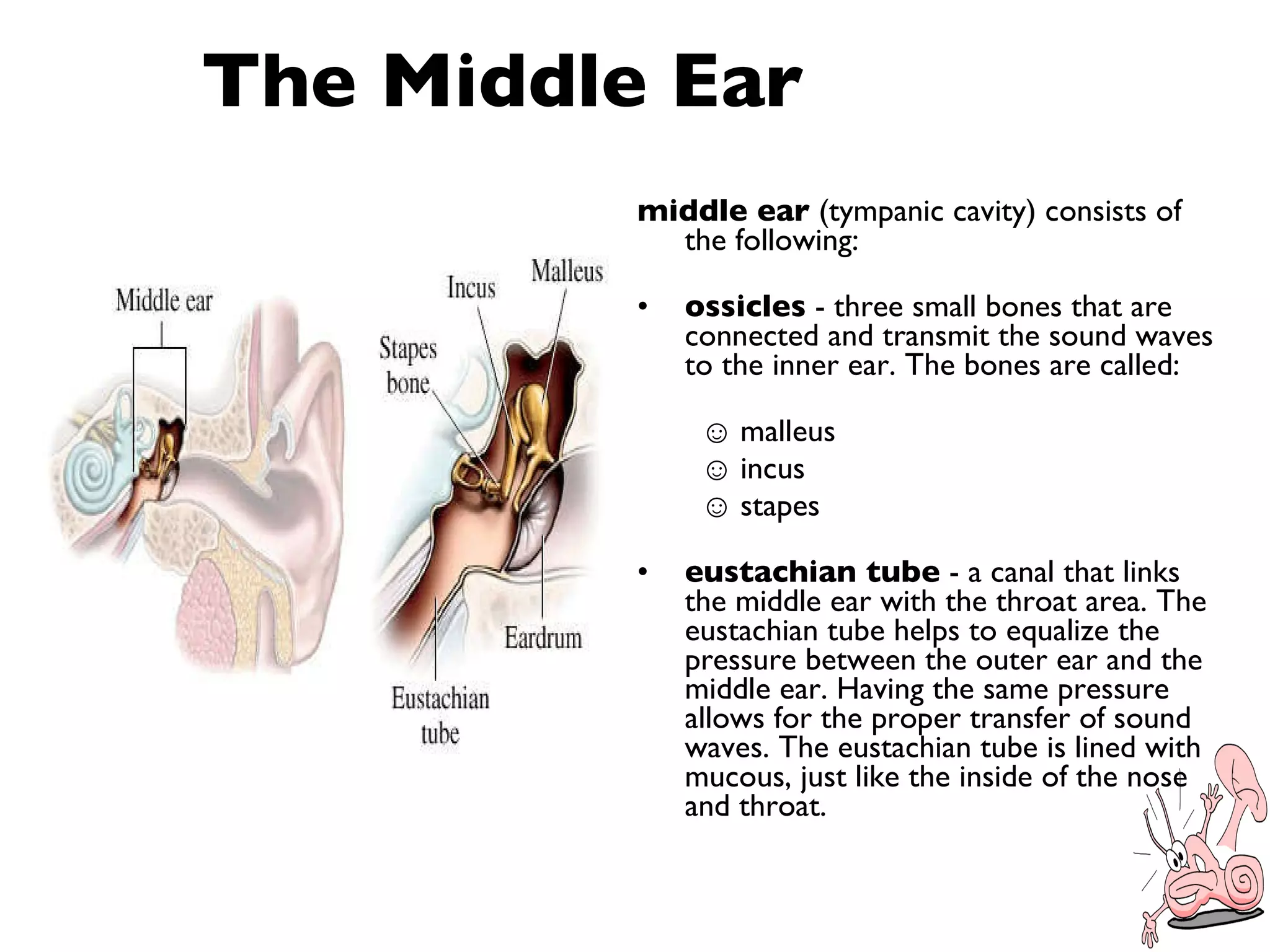 Problems of the ear