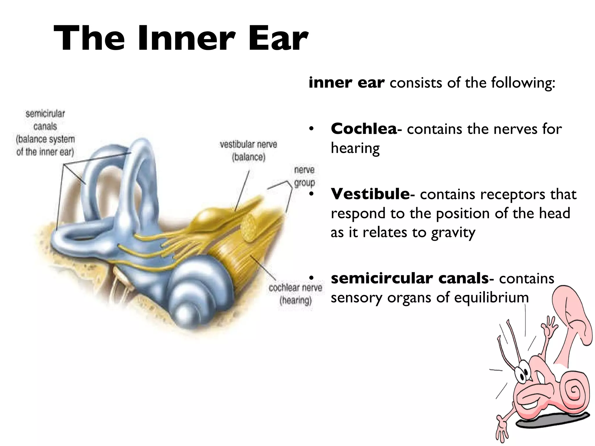 Problems of the ear