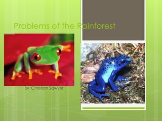 Problems of the Rainforest By :Christian Sawyer 
