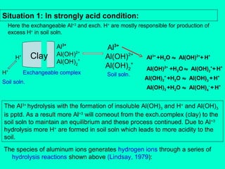 Situation 1: In strongly acid condition:
Here the exchangeable Al+3 and exch. H+ are mostly responsible for production of
excess H+ in soil soln.

Clay

H+
+

H

Al3+
Al(OH)2+
Al(OH)2+

Exchangeable complex

Soil soln.

Al3+
Al(OH)2+
Al(OH)2+
Soil soln.

Al3+ +H2O ⇋ Al(OH)2++ H+
Al(OH)2+ +H2O ⇋ Al(OH)2++ H+
Al(OH)2+ +H2O ⇋ Al(OH)3 + H+
Al(OH)3 +H2O ⇋ Al(OH)4- + H+

The Al3+ hydrolysis with the formation of insoluble Al(OH)3 and H+ and Al(OH)3
is pptd. As a result more Al+3 will comeout from the exch.complex (clay) to the
soil soln to maintain an equilibrium and these process continued. Due to Al +3
hydrolysis more H+ are formed in soil soln which leads to more acidity to the
soil.
The species of aluminum ions generates hydrogen ions through a series of
hydrolysis reactions shown above (Lindsay, 1979):

 