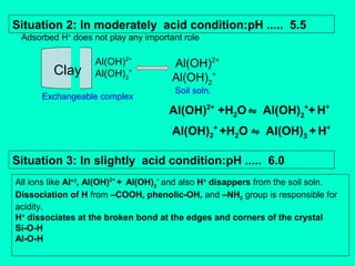 Situation 2: In moderately acid condition:pH ..... 5.5
Adsorbed H+ does not play any important role

Clay

Al(OH)2+
Al(OH)2+

Exchangeable complex

Al(OH)2+
Al(OH)2+
Soil soln.

Al(OH)2+ +H2O ⇋ Al(OH)2++ H+
Al(OH)2+ +H2O ⇋ Al(OH)3 + H+
Situation 3: In slightly acid condition:pH ..... 6.0
All ions like Al+3, Al(OH)2+ + Al(OH)2+ and also H+ disappers from the soil soln.
Dissociation of H from –COOH, phenolic-OH, and –NH2 group is responsible for
acidity.
H+ dissociates at the broken bond at the edges and corners of the crystal
Si-O-H
Al-O-H

 