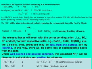 Reaction of Nitrogenous fertilizer containing N in ammonium form
:
+
-2

(NH 4 )2SO 4
NH4
+ SO4
+

-

then hydrolyzed into NH4 + OH
-2

+

SO4 + 2H



NH4 OH (weak base)

 H2 SO4 (strong acid)

As NH4 OH is a weak base, though the are produced in equivalent amount, NH 4 OH will slowly dissociate than
y
+
H2 SO4 producing less OH than H producing acidity in soil.
+

The NH4 will be adsorbed on the soil colloids replacing the exchangeable bases like Na, Ca, Mg etc
NH4
Ca -[soil + (NH 4 )2SO 4

[soil + CaSO 4 ( soluble, causing leaching of bases)


NH 4

the released bases will react with the corresponding anion , i.e., SO 4-,
Cl-, and NO3- to form respective salts, e.g., CaSO4, CaCl2, Ca(NO3)2 etc.,
the Ca-salts, thus, produced may be lost from the surface soil by
leaching. In this way, there will be some loss of exchangeable bases
from the salts.
Under well-drained and aerated condition, this adsorbed NH4+ will be
liberated in soil solution and nitrified by microbes
NH4+ + 1½ O2



NO2- + H2O+ 2H+

NO2- + ½ O2



NO3- + 18 kcal (Ntrobacter bacteria)

+ 66 kcal (Nitrosomonas bacteria)

 