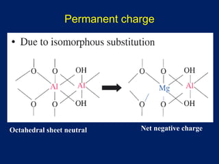 Permanent charge

Octahedral sheet neutral

Net negative charge

 