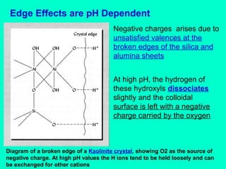 Edge Effects are pH Dependent
Negative charges arises due to
unsatisfied valences at the
broken edges of the silica and
alumina sheets
At high pH, the hydrogen of
these hydroxyls dissociates
slightly and the colloidal
surface is left with a negative
charge carried by the oxygen

Diagram of a broken edge of a Kaolinite crystal, showing O2 as the source of
negative charge. At high pH values the H ions tend to be held loosely and can
be exchanged for other cations

 