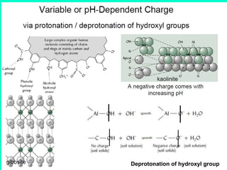 Deprotonation of hydroxyl group

 