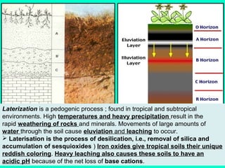 Laterization is a pedogenic process ; found in tropical and subtropical
environments. High temperatures and heavy precipitation result in the
rapid weathering of rocks and minerals. Movements of large amounts of
water through the soil cause eluviation and leaching to occur.
 Laterisation is the process of desilication, i.e., removal of silica and
accumulation of sesquioxides ) Iron oxides give tropical soils their unique
reddish coloring. Heavy leaching also causes these soils to have an
acidic pH because of the net loss of base cations.

 