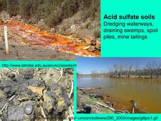 Acid sulfate soils
Dredging waterways,
draining swamps, spoil
piles, mine tailings

http://www.latrobe.edu.au/envsci/assets/images/publicity/amd2-edit.jpg

http://web.missouri.edu/~umcsnrsoilwww/290_2003/images/gillpic1.gif

 