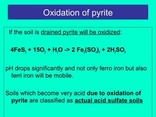 Oxidation of pyrite
If the soil is drained pyrite will be oxidized:
4FeS2 + 15O2 + H2O -> 2 Fe2(SO4)3 + 2H2SO4
pH drops significantly and not only ferro iron but also
ferri iron will be mobile.
Soils which become very acid due to oxidation of
pyrite are classified as actual acid sulfate soils

 