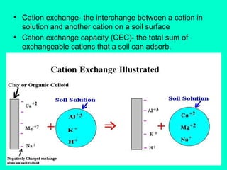 • Cation exchange- the interchange between a cation in
solution and another cation on a soil surface
• Cation exchange capacity (CEC)- the total sum of
exchangeable cations that a soil can adsorb.

 