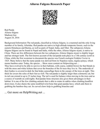 Ailurus Fulgens Research Paper
Red Panda
Ailurus fulgens
Madison Gee
August 24, 2016
Background Information The red panda, classified as Ailurus fulgens, is a mammal and the only living
member of its family, Ailuridae. Red pandas are native to high altitude temperate forests, such as the
eastern Himalayas and Burma, as well as parts of Nepal, India, and Tibet. The subspecies Ailurus
fulgens fulgens can be found in Nepal and India, while the other, Ailurus fulgens styani, is native to
China. There are few differences between the two subspecies; Ailurus fulgens styani is slightly larger
and has stronger teeth. The first known account of the red panda took place in a 13th century scroll in
China, while the first westerner to document the species was French zoologist Frédéric Cuvier in
1825. Many believe that the name panda was derived from its Nepalese name, nigalya ponya, which
means bamboo eater. Today, the species ... Show more content on Helpwriting.net ...
They have evolved to be able to survive in their habitats, with coarse, reddish brown fur that blends in
with the moss and white lichens that cover the branches of the fir trees they live in. The underside of
their bodies is covered in dark fur that helps camouflage them in the canopy of the trees at night. This
thick fur covers the soles of their feet as well. The red panda is slightly larger than a domestic cat, but
its tail can extend to up to 23 inches long. The tail is used for balance when moving in the trees and as
a source of warmth on cold nights. Red pandas bone structure also gives them advantages in their
habitat. It is one of the few climbing animals that is able to rotate its ankles when climbing headfirst
down trees. It also shares the same modified wrist bone that giant pandas have, which aids them in
grabbing the bamboo they eat. Its curved claws help in grabbing branches and
... Get more on HelpWriting.net ...
 