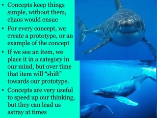 • Concepts keep things
simple, without them,
chaos would ensue
• For every concept, we
create a prototype, or an
example of the concept
• If we see an item, we
place it in a category in
our mind, but over time
that item will “shift”
towards our prototype.
• Concepts are very useful
to speed up our thinking,
but they can lead us
astray at times
 