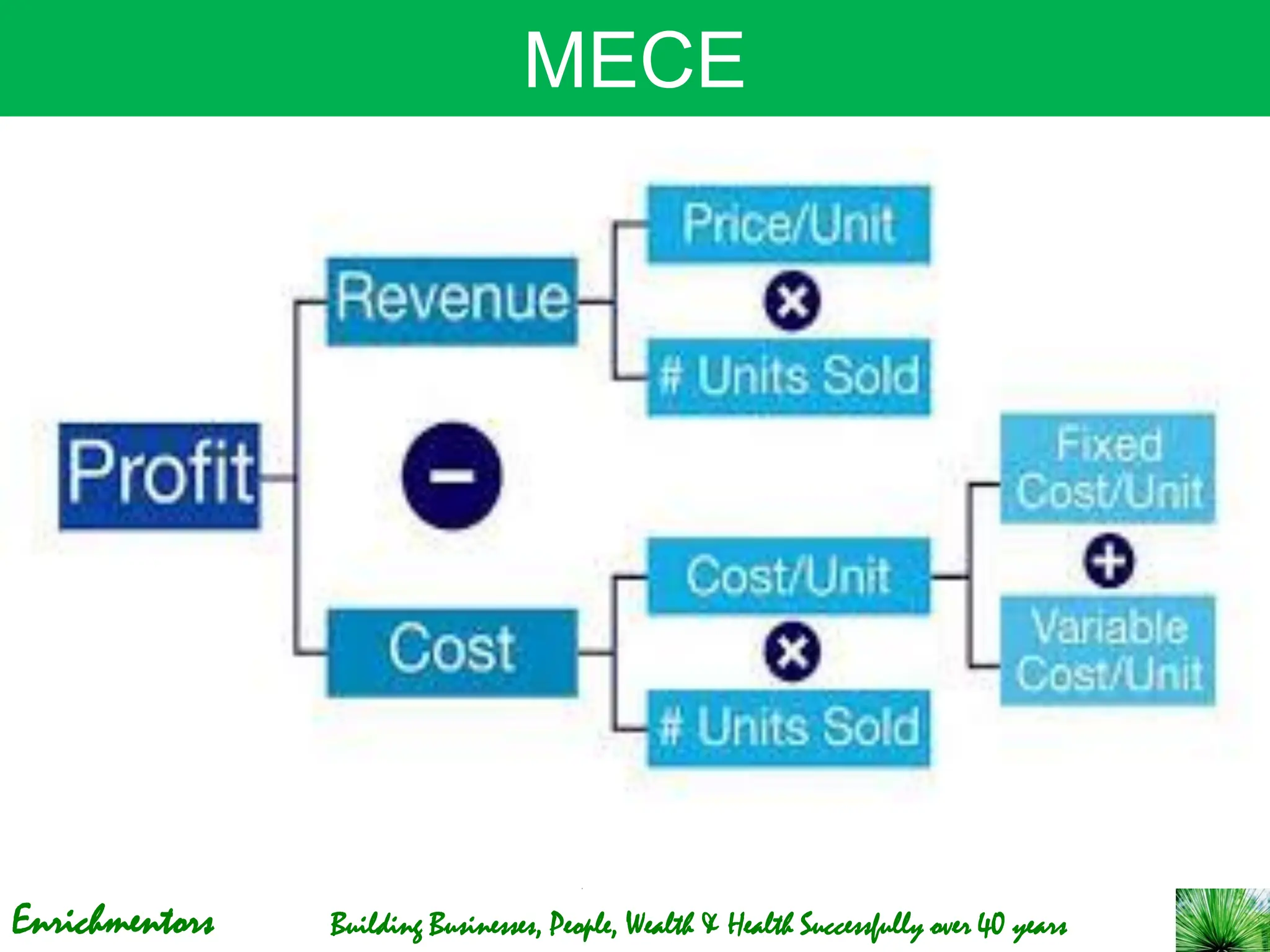 Enrichmentors Building Businesses, People, Wealth & Health Successfully over 40 years
MECE
 