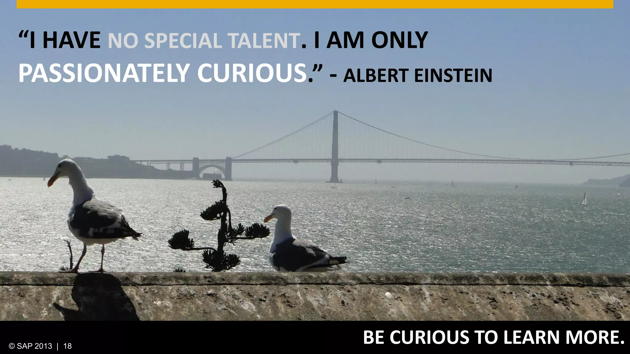 © 2013 SAP AG. All rights reserved. 18Public© SAP 2012 | 18© SAP 2013 | 18
BE CURIOUS TO LEARN MORE.
“I HAVE NO SPECIAL TALENT. I AM ONLY
PASSIONATELY CURIOUS.” - ALBERT EINSTEIN
 