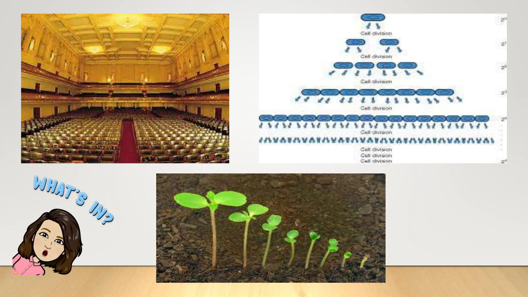 problem solving- sequence - for lesson.pptx
