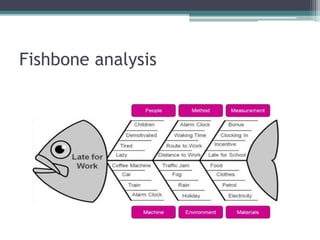 Fishbone analysis
 