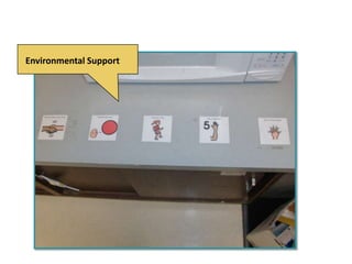 HSCI Curriculum Modifications Module



    Environmental Support
 