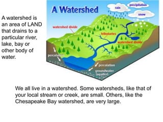 Problems with the watershed of chesapeake bay | PPTX