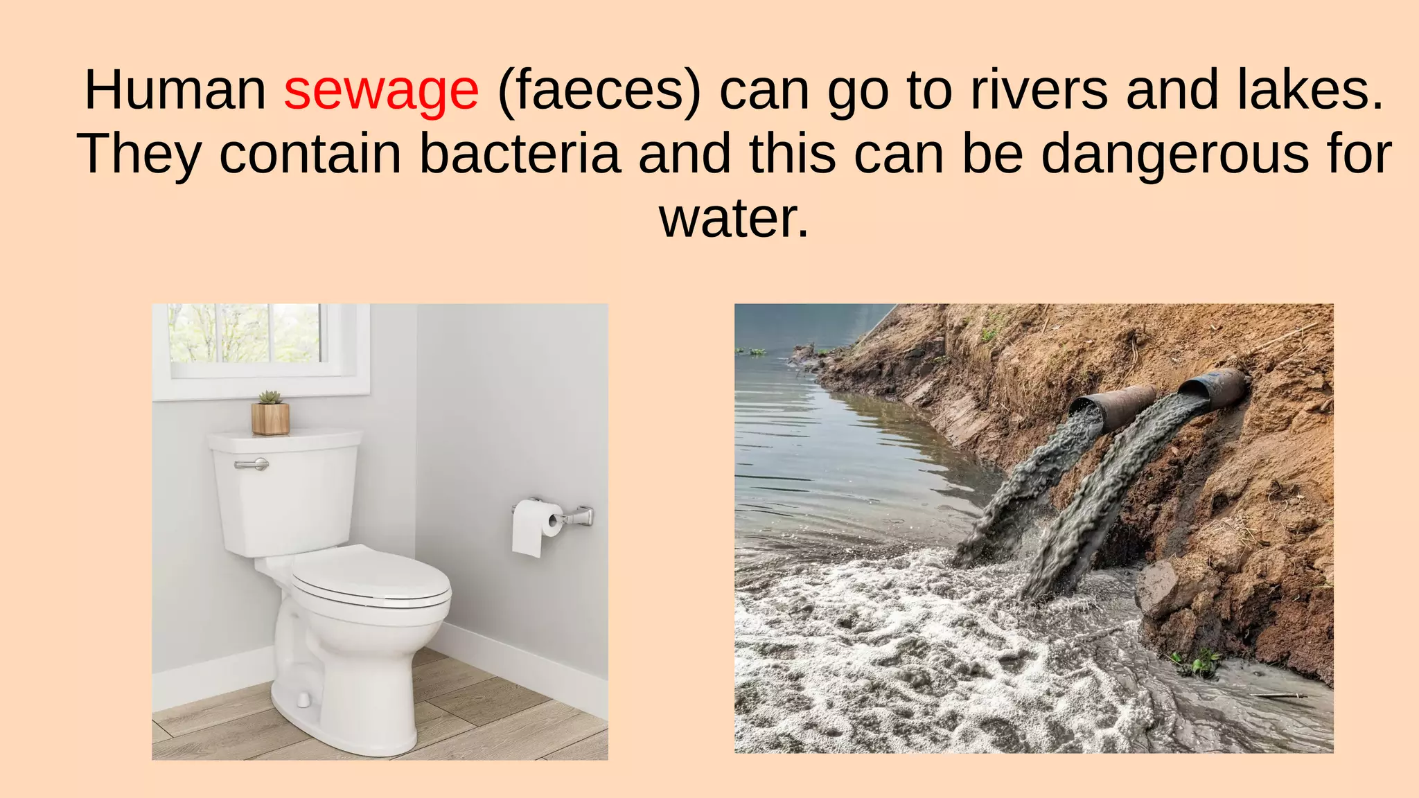 Human sewage (faeces) can go to rivers and lakes.
They contain bacteria and this can be dangerous for
water.
