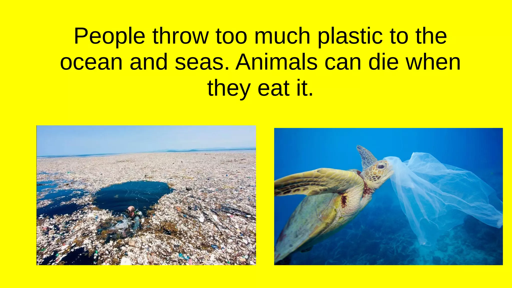 People throw too much plastic to the
ocean and seas. Animals can die when
they eat it.