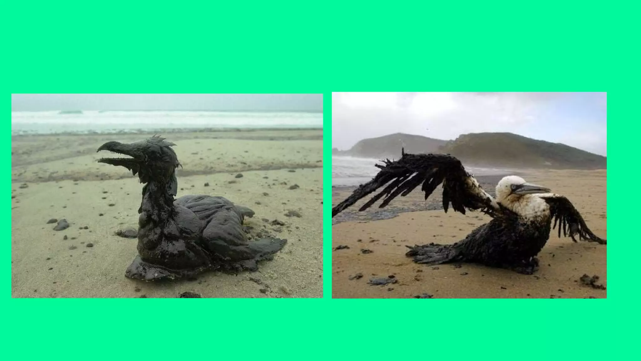 Problems with water.pdf