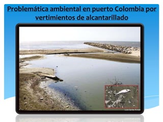 Problemática ambiental en puerto Colombia por
       vertimientos de alcantarillado
 