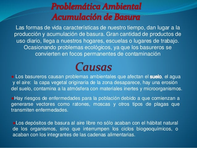 Problemática ambiental producida por acumulación de basura