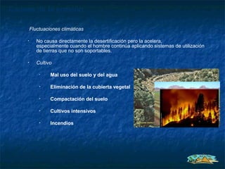 Causas de la erosión

         Fluctuaciones climáticas

     •      No causa directamente la desertificación pero la acelera,
            especialmente cuando el hombre continúa aplicando sistemas de utilización
            de tierras que no son soportables.

     •      Cultivo

             •    Mal uso del suelo y del agua

             •    Eliminación de la cubierta vegetal

             •    Compactación del suelo

             •    Cultivos intensivos

             •    Incendios
 
