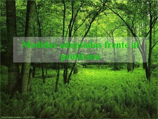 Medidas adoptadas frente al
        problema
 