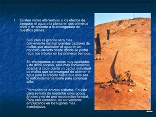 Elección del método


   •   Existen varias alternativas a los efectos de
       asegurar el agua a la planta en sus primeros
       años y de acuerdo a la envergadura de
       nuestros planes.

        •   Si el plan es grande será más
            conveniente instalar grandes captores de
            mallas que acumulen el agua en un
            depósito elevado desde donde se podrá
            regar los árboles en los primeros tiempos.

        •   Si reforestamos en zonas muy apartadas
            y de difícil acceso, será más conveniente
            adaptar a cada planta un captor individual
            de mallas que se encargará de obtener el
            agua para el arbolito hasta que éste sea
            lo suficientemente fuerte para continuar
            sólo.

        •   Plantación de árboles aislados. En este
            caso se trata de implantar unos pocos
            árboles y no de una repoblación forestal.
            Para este cometido, es conveniente
            emplazarlos en los lugares más
            aventajados.
 