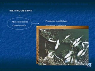 Antecedentes y descripción de la problemática del agua

   INEXTINGUIBILIDAD




     Abuso del recurso    Problemas cuantitativos

     Contaminación        Problemas cualitativos
 