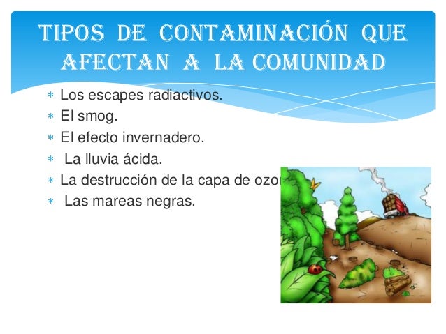 Problemática ecológica de tu comunidad en méxico y