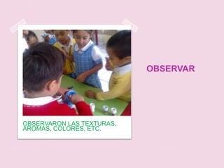 OBSERVAROBSERVARON LAS TEXTURAS, AROMAS, COLORES, ETC.