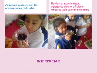 INTERPRETARAmpliaron sus ideas con las observaciones realizadasRealizaron experimentos, agregando alcohol a frutas y verduras para obtener colorantes.