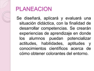 PLANEACIONSe diseñará, aplicará y evaluará una situación didáctica, con la finalidad de desarrollar competencias. Se crearán experiencias de aprendizaje en donde los alumnos puedan potencializar actitudes, habilidades, aptitudes y conocimientos científicos acerca de cómo obtener colorantes del entorno.