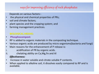 ways for improving efficiency of rock phosphates
Depends on various factors:-
• the physical and chemical properties of PRs;
• soil and climate factors;
• plant species and the cropping system; and
• farming management practices.
BIOLOGICAL MEANS:
• Phosphocompost:
• RP is added to organic materials in the composting technique.
• Various organic acids are produced by micro organisms(bacteria and fungi)
• Main reasons for the enhancement of P release is:
i. acidification of PR by organic acids.
ii. chelating ability on Ca,Mg,Fe and Al
Effectiveness:
• Increase in water soluble and citrate soluble P contents.
• When applied to alkaline soil, it dissolves easily compared to RP and is
available.
 
