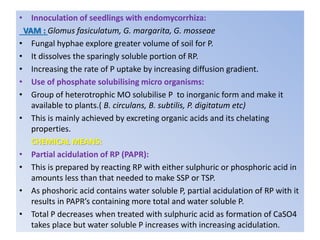 • Innoculation of seedlings with endomycorrhiza:
VAM : Glomus fasiculatum, G. margarita, G. mosseae
• Fungal hyphae explore greater volume of soil for P.
• It dissolves the sparingly soluble portion of RP.
• Increasing the rate of P uptake by increasing diffusion gradient.
• Use of phosphate solubilising micro organisms:
• Group of heterotrophic MO solubilise P to inorganic form and make it
available to plants.( B. circulans, B. subtilis, P. digitatum etc)
• This is mainly achieved by excreting organic acids and its chelating
properties.
CHEMICAL MEANS:
• Partial acidulation of RP (PAPR):
• This is prepared by reacting RP with either sulphuric or phosphoric acid in
amounts less than that needed to make SSP or TSP.
• As phoshoric acid contains water soluble P, partial acidulation of RP with it
results in PAPR’s containing more total and water soluble P.
• Total P decreases when treated with sulphuric acid as formation of CaSO4
takes place but water soluble P increases with increasing acidulation.
 