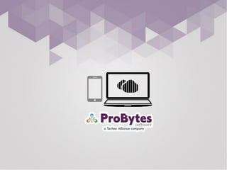 Probytes Services Delivery Methodology