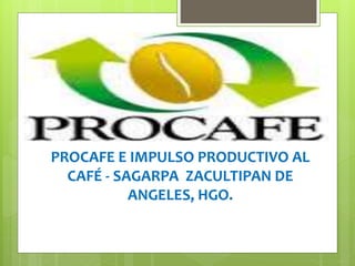 PROCAFE E IMPULSO PRODUCTIVO AL 
CAFÉ - SAGARPA ZACULTIPAN DE 
ANGELES, HGO. 
 