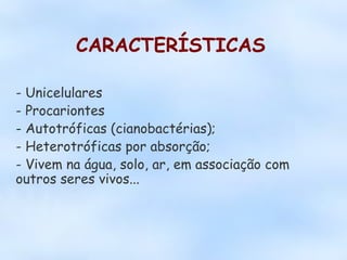 CARACTERÍSTICAS

- Unicelulares
- Procariontes
- Autotróficas (cianobactérias);
- Heterotróficas por absorção;
- Vivem na ...