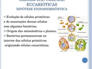 ORIGEM DAS CÉLULAS EUCARIÓTICAS HIPÓTESE ENDOSSIMBIÔNTICA Evolução de células primitivas e de associações dessas células  com algumas bactérias; Origem das mitocôndrias e plastos; Bactérias permaneceram no  interior das células primitivas originando células eucarióticas. 