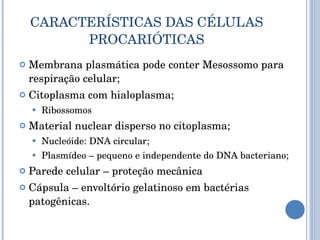 CARACTERÍSTICAS DAS CÉLULAS PROCARIÓTICAS Membrana plasmática pode conter Mesossomo para respiração celular; Citoplasma com hialoplasma; Ribossomos Material nuclear disperso no citoplasma; Nucleóide: DNA circular; Plasmídeo – pequeno e independente do DNA bacteriano; Parede celular – proteção mecânica Cápsula – envoltório gelatinoso em bactérias patogênicas. 