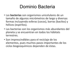 Dominio Bacteria
• Las bacterias son organismos unicelulares de un
tamaño de algunos micrómetros de largo y diversas
formas incluyendo esferas (cocos), barras (bacilos) y
hélices (espirilos).
• Las bacterias son los organismos más abundantes del
planeta y se encuentran en todos los hábitats
terrestres.
• Son imprescindibles para el reciclaje de los
elementos, pues muchos pasos importantes de los
ciclos biogeoquímicos dependen de éstas.
 