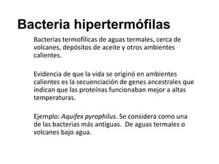 Bacteria hipertermófilas
Bacterias termofílicas de aguas termales, cerca de
volcanes, depósitos de aceite y otros ambientes
calientes.
Evidencia de que la vida se originó en ambientes
calientes es la secuenciación de genes ancestrales que
indican que las proteínas funcionaban mejor a altas
temperaturas.
Ejemplo: Aquifex pyrophilus. Se considera como una
de las bacterias más antiguas. De aguas termales o
volcanes bajo agua.
 