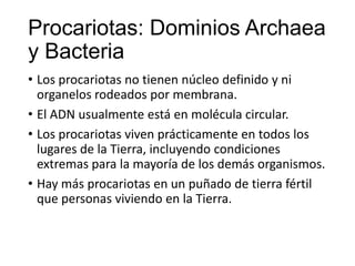 Procariotas: Dominios Archaea
y Bacteria
• Los procariotas no tienen núcleo definido y ni
organelos rodeados por membrana.
• El ADN usualmente está en molécula circular.
• Los procariotas viven prácticamente en todos los
lugares de la Tierra, incluyendo condiciones
extremas para la mayoría de los demás organismos.
• Hay más procariotas en un puñado de tierra fértil
que personas viviendo en la Tierra.
 