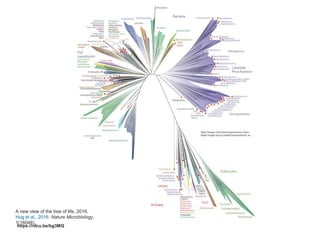 https://rdcu.be/bg3MQ
A new view of the tree of life. 2016.
Hug et al., 2016. Nature Microbiology,
1(16048).
 