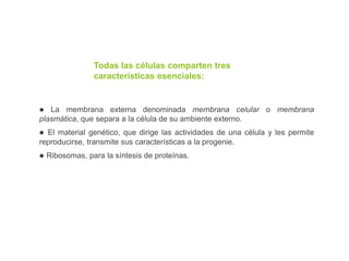 Todas las células comparten tres
características esenciales:
l La membrana externa denominada membrana celular o membrana
plasmática, que separa a la célula de su ambiente externo.
l El material genético, que dirige las actividades de una célula y les permite
reproducirse, transmite sus características a la progenie.
l Ribosomas, para la síntesis de proteínas.
 