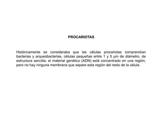 Históricamente se consideraba que las células procariotas comprendían
bacterias y arqueobacterias, células pequeñas entre 1 y 5 µm de diámetro, de
estructura sencilla; el material genético (ADN) está concentrado en una región,
pero no hay ninguna membrana que separe esta región del resto de la célula.
PROCARIOTAS
 