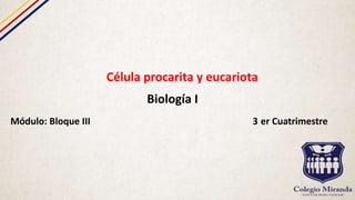 Célula procarita y eucariota
Biología I
Módulo: Bloque III 3 er Cuatrimestre
 